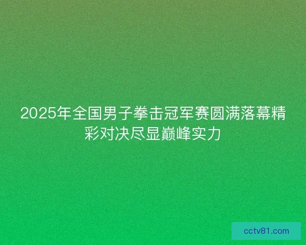 2025年全国男子拳击冠军赛圆满落幕精彩对决尽显巅峰实力