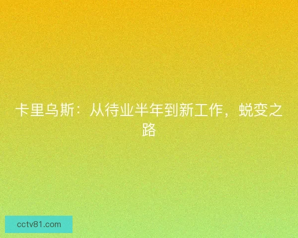 卡里乌斯：从待业半年到新工作，蜕变之路