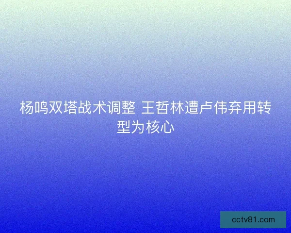 杨鸣双塔战术调整 王哲林遭卢伟弃用转型为核心
