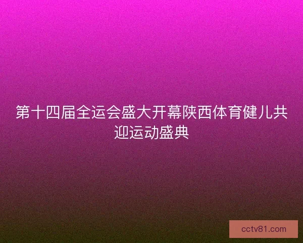 第十四届全运会盛大开幕陕西体育健儿共迎运动盛典